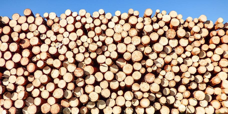 Stack of Firewood, abstract, background, batch, brown, cut, dry HD wallpaper