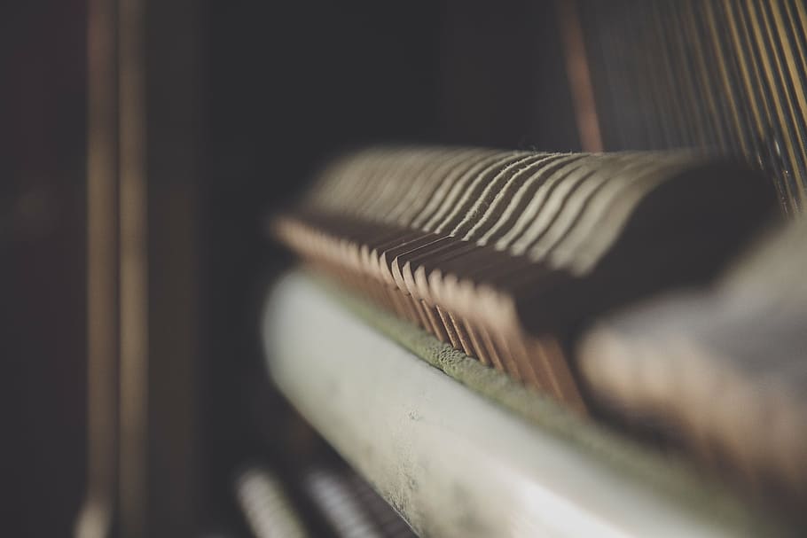 abstract, art, bird, blur, conceptual, connection, dark, daylight HD wallpaper