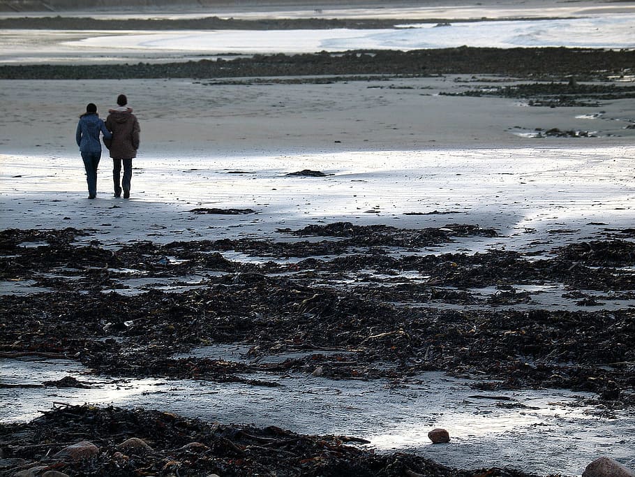 Winter, Walk, Beach, Guernsey, Couple, landscape, together HD wallpaper