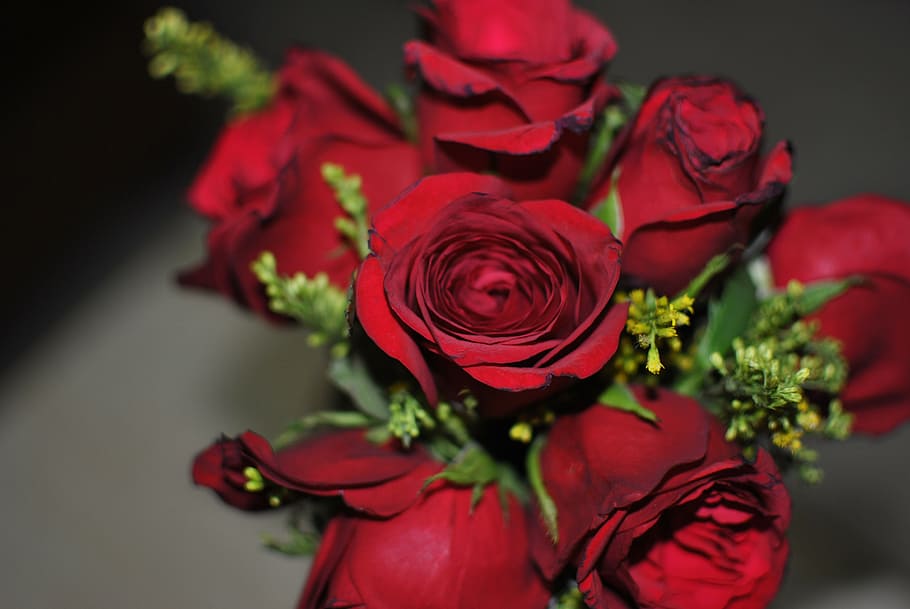 rose, flower, red, green, love, decoration, bunch, petal, romantic HD wallpaper