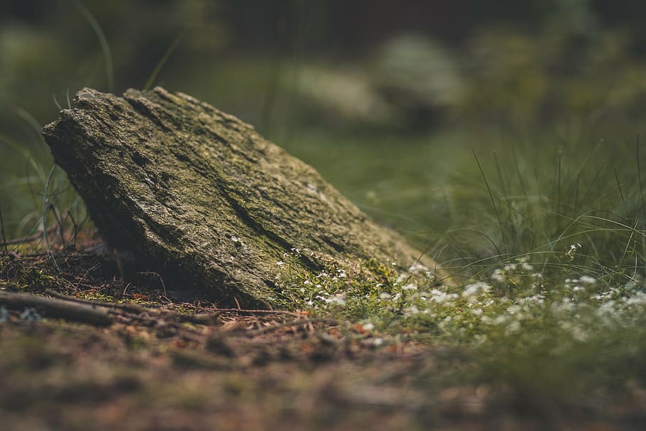 tilt shift lens photography of stone during daytime, grass HD wallpaper