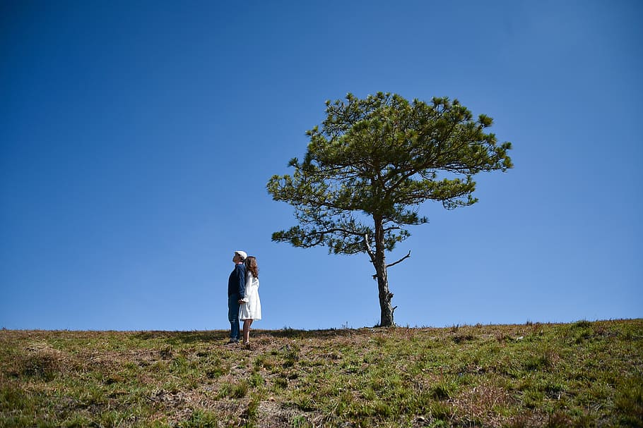 man and woman standing side by side on field near tree, couple