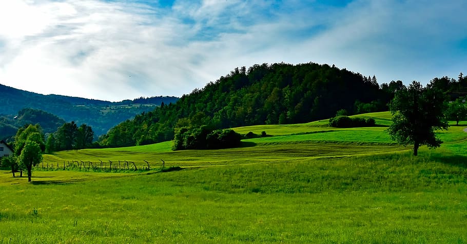 green grass field during daytime, landscape, scenic, sky, clouds HD wallpaper