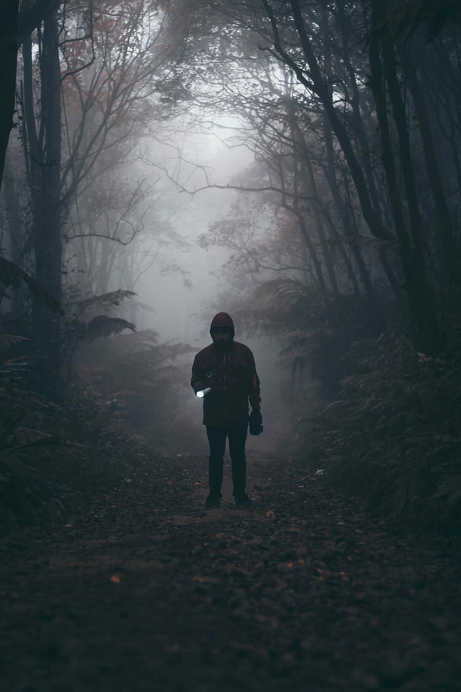 silhouette of man holding flashlight under trees, silhouette of a person in the middle of the forest HD wallpaper