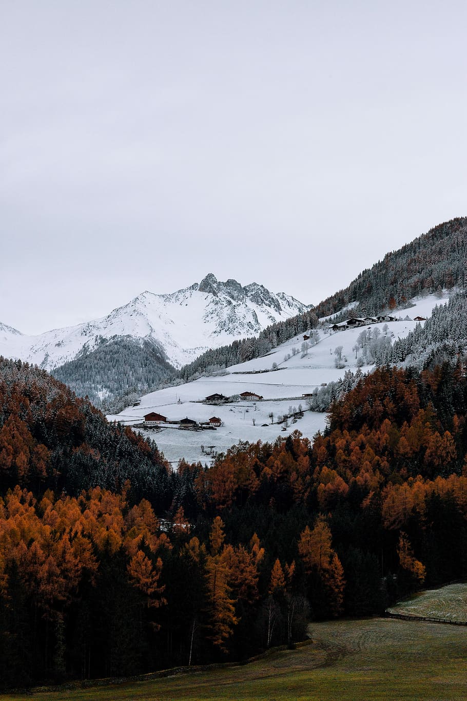 brown trees near snowy mountain, overlooking view of mountain covered with snow during daytime HD wallpaper