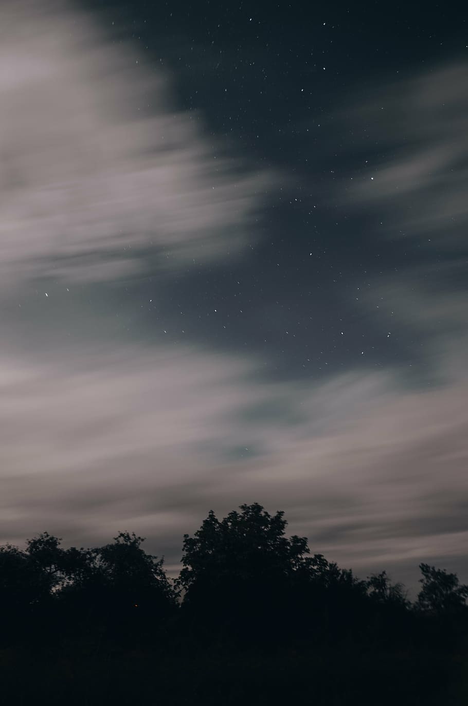 trees and cloudy sky, silhoueete, clouds, golden, hour, stars HD wallpaper