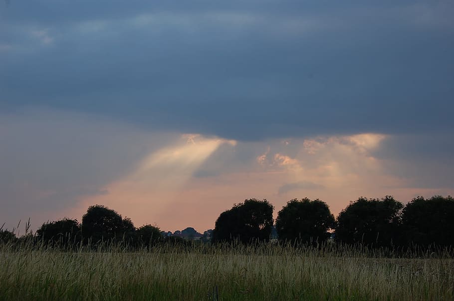 Sunset, Himmel, Cloud, field, nature, agriculture, no people HD wallpaper