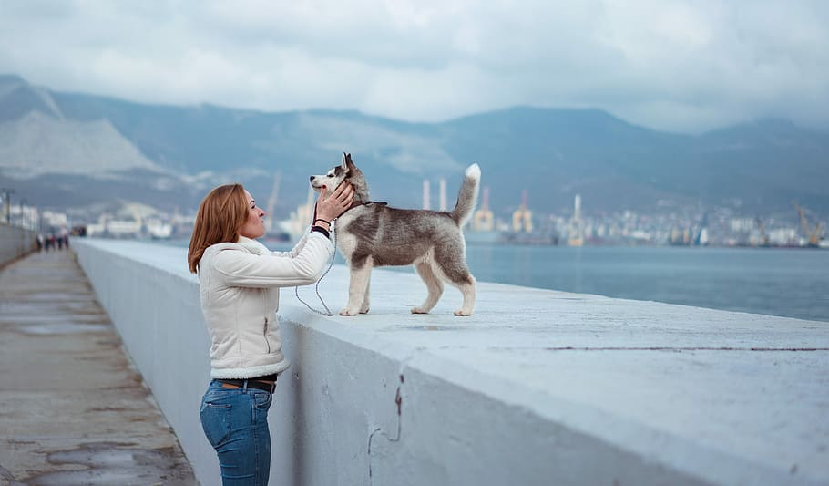 woman petting dog, mammal, domestic, domestic animals, pets HD wallpaper