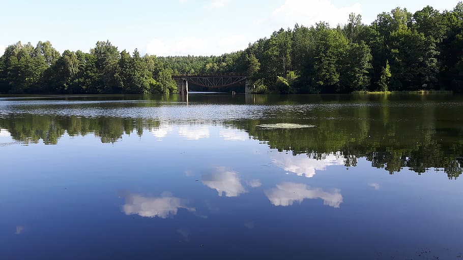 Lagoon, Nature, Summer, Forest, Clouds, water, reflection, lake HD wallpaper