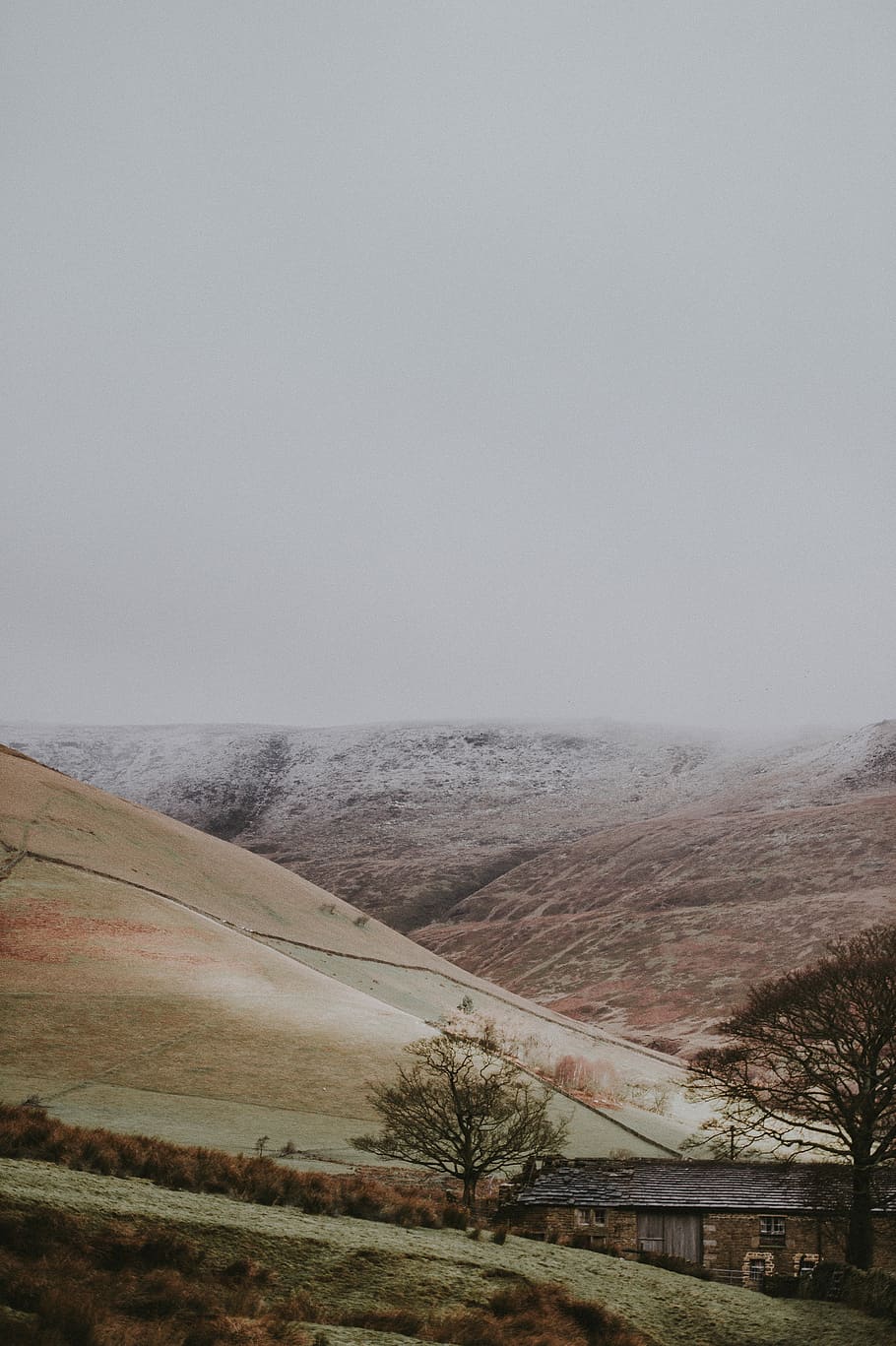 Winter countryside, landscape photography of green hills, cold HD wallpaper