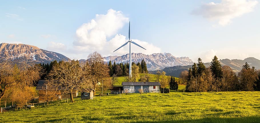 house with windmill and tall trees during daytime, wind energy