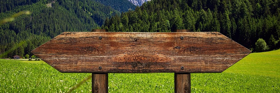 brown wooden board signage behind green trees taken daytime HD wallpaper