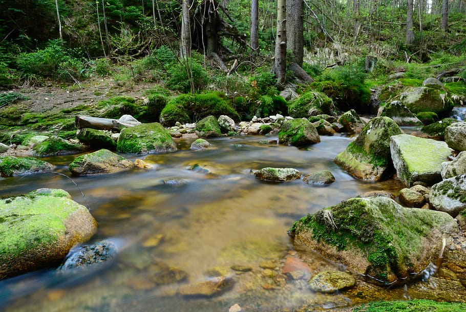 lake beside a rocks, brook, forest, tree, the brook, landscape HD wallpaper