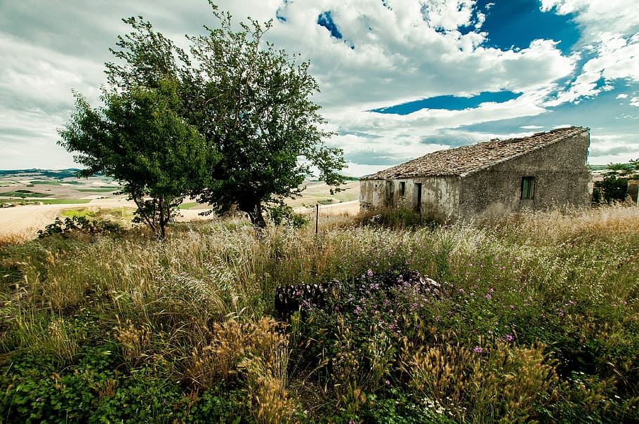 Campaign, Sky, Landscape, Nature, agriculture, cloud - sky HD wallpaper