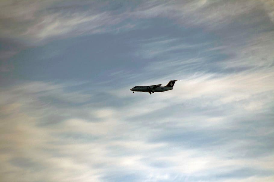 Aircraft, Sun, Sky, Blue, approach, flying, one animal, cloud - sky HD wallpaper