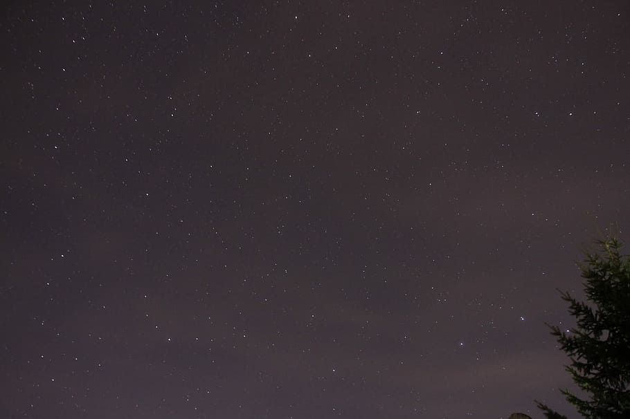 Night Sky, star, astronomy, nature, constellation, star - Space HD wallpaper