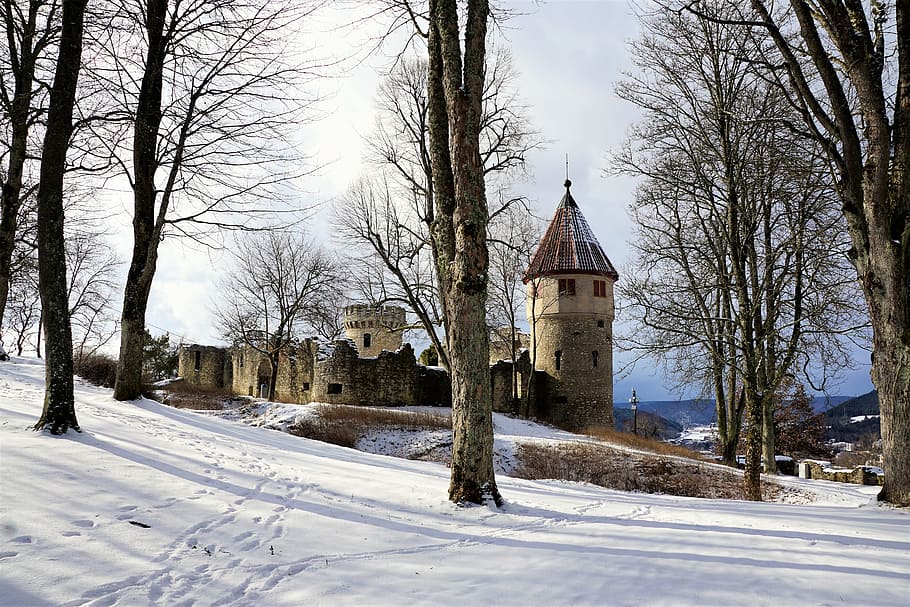 brown and gray concrete castle near trees during daytime, winter HD wallpaper