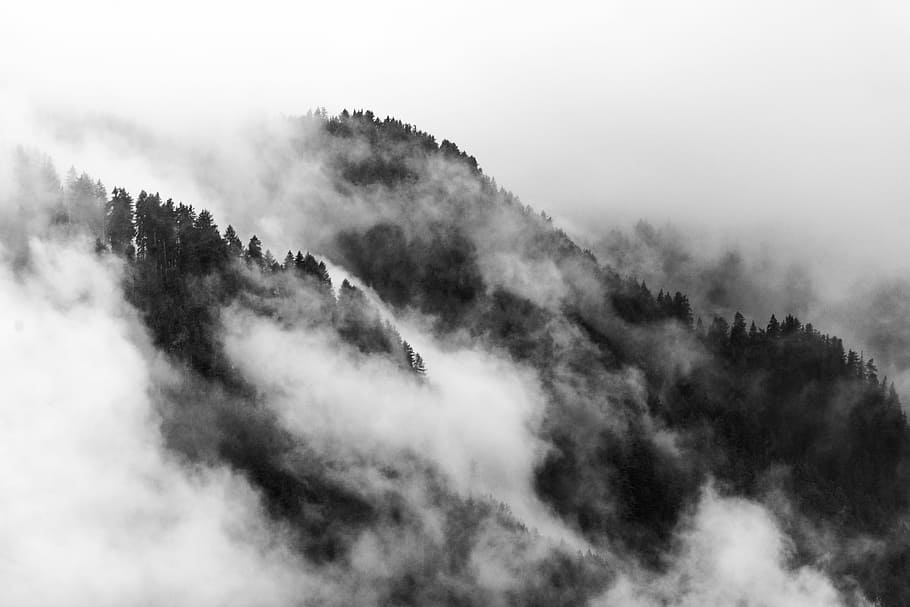 grayscale photo smoky mountain, forest, cloud, fog, mist, scenics - nature HD wallpaper