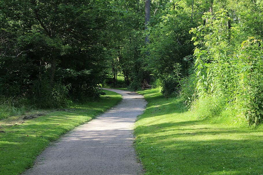 walking trail, bicycle trail, nature, path, trees, hiking trail HD wallpaper