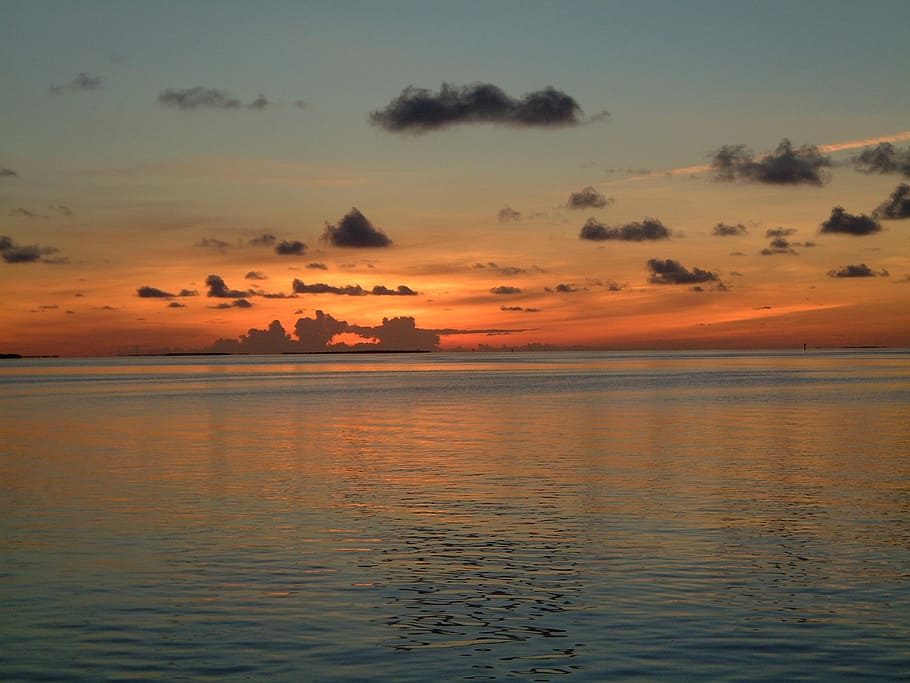 Florida Keys, Sunset, Ocean, tranquility, nature, water, beauty in nature HD wallpaper