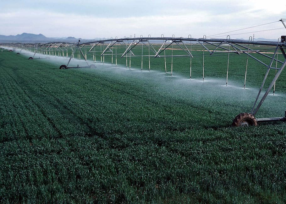 Center-pivot irrigation of wheat growing in Yuma County, Colorado, HD wallpaper