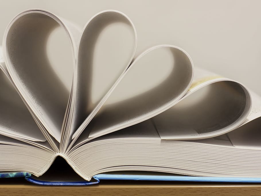 Book, Pages, Paper, Flower, Education, beat up, literature HD wallpaper