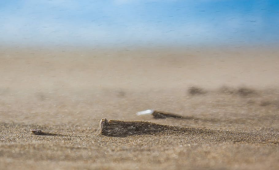 Sandblasting a Seashell, selective photography of brown sand HD wallpaper