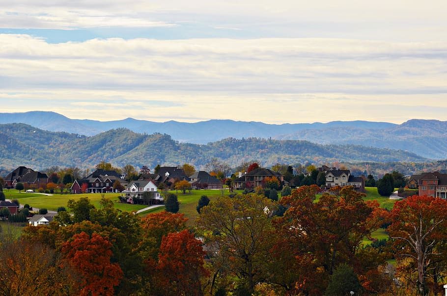 mountains, autumn, landscape, fall, nature, tree, outdoors HD wallpaper