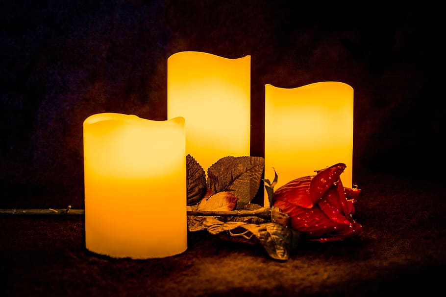 three flameless pillar candles beside flower, light, rose, glowing HD wallpaper