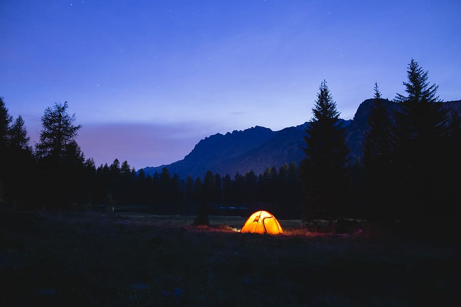 orange dome tent surrounded by silhouette of trees at blue hour, silhouette of pine trees beside tent, HD wallpaper