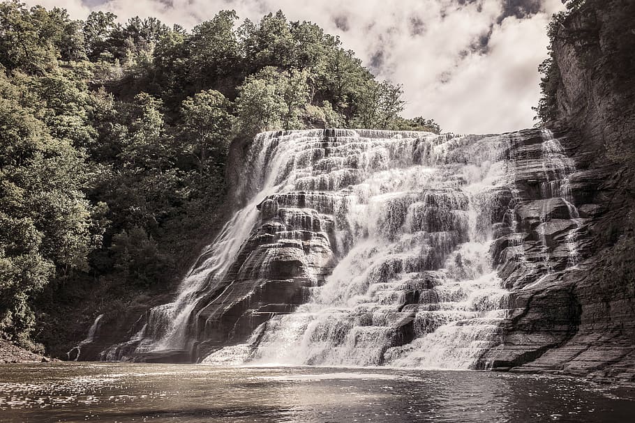 waterfalls, grayscale, photography, surrounded, trees, river HD wallpaper