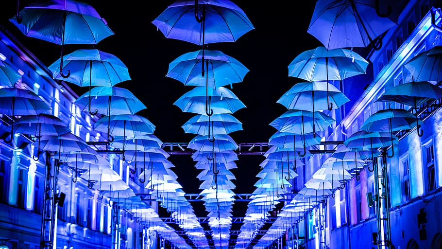 white umbrella on ceiling, blue umbrella lot, Light, Festival HD wallpaper