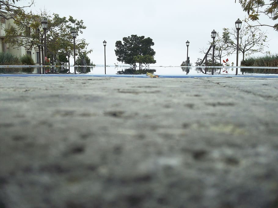 tree, pool ledge, campus, plant, sky, road, transportation HD wallpaper