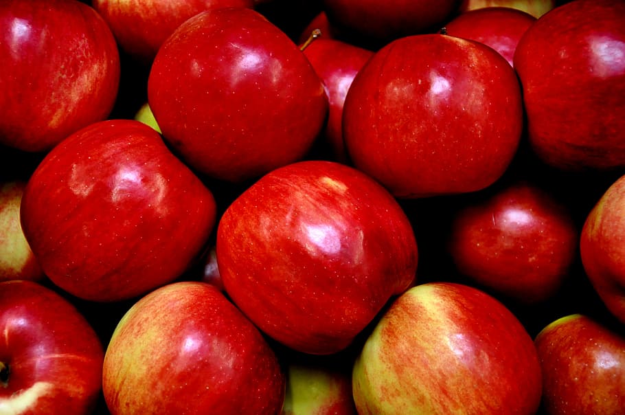 apple, red, fruit, food and drink, healthy eating, wellbeing HD wallpaper