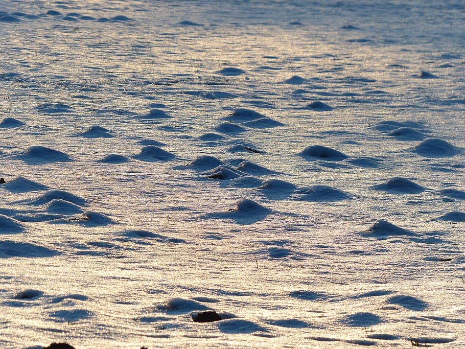wintry, winter, frozen, molehill, snow, snowy, cold, icy, shimmer HD wallpaper