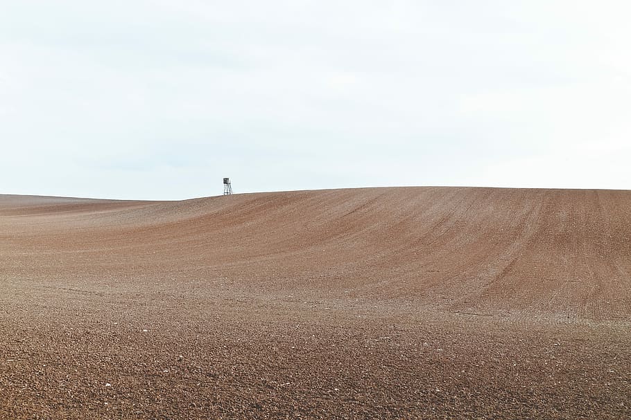 selective focus photography of sand, brown dessert, desert, field HD wallpaper