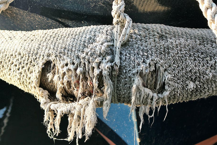 network, fish, relic, old, torn, water, rope, no people, nature HD wallpaper
