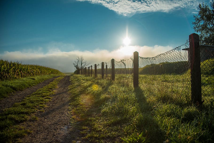 brown wooden fence surrounded by grass during daytime, away HD wallpaper