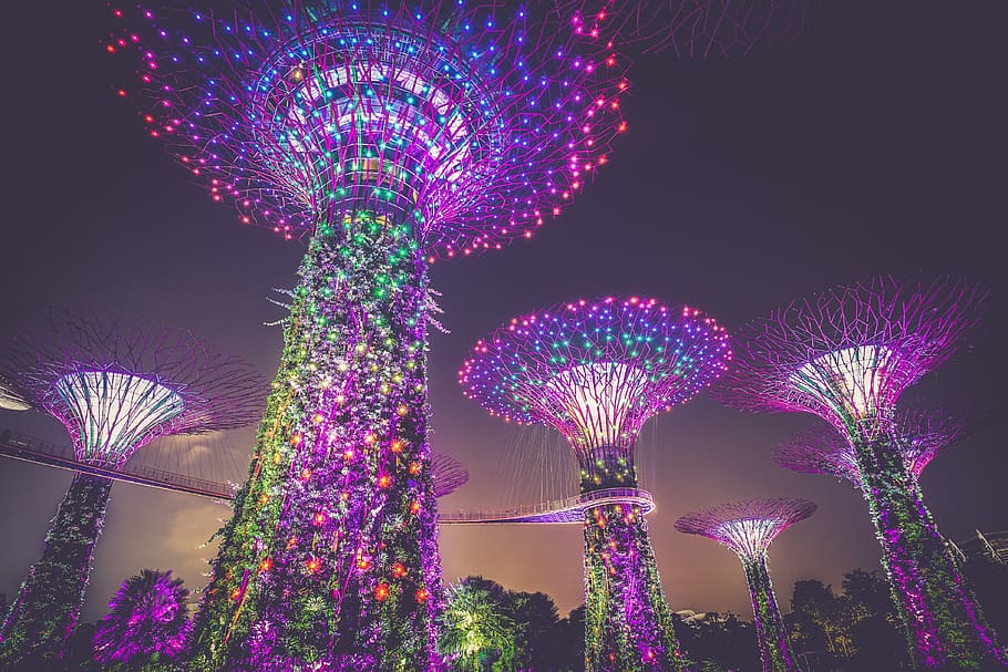 multicolored lights on posts, Gardens by the Bay, Singapore at night HD wallpaper