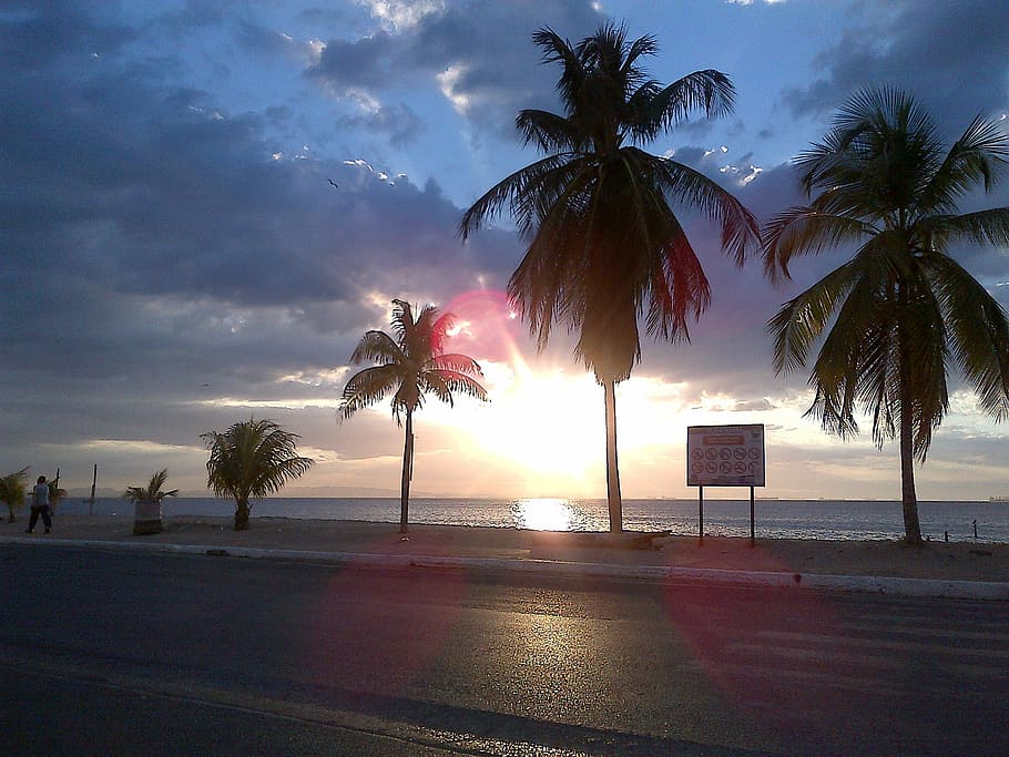 palms, beach, sunset, landscape, palm Tree, sea, tropical Climate HD wallpaper