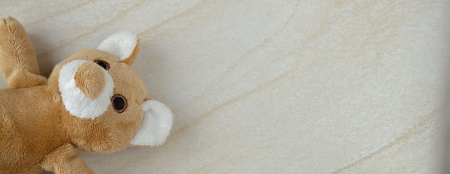 teddy, teddy bear, small stuffed bear, furry teddy bear, sweet HD wallpaper