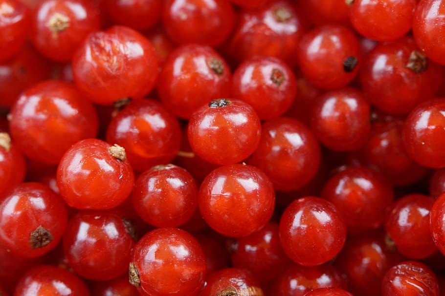 red cherry lot, currants, berries, fruit, red currant, soft fruit, HD wallpaper