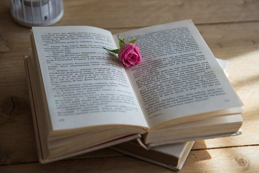 opened book with pink rose on top of it, Romantic, Scene, Love Story