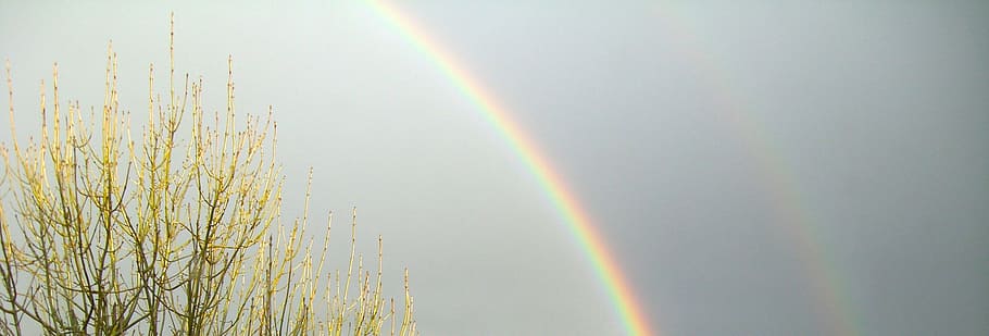 rainbow sky, scene, nature, outdoors, blue, summer, backgrounds HD wallpaper
