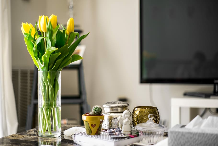 yellow tulip flowers inside vase on table, yellow tulips in clear glass vase HD wallpaper