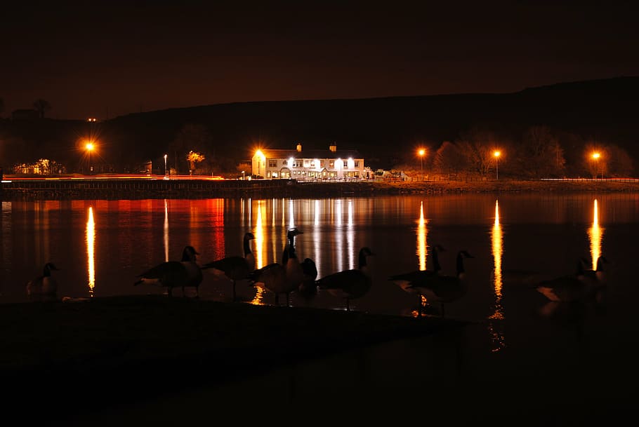 night, lights, reflection, dark, glow, color, illuminated, building HD wallpaper