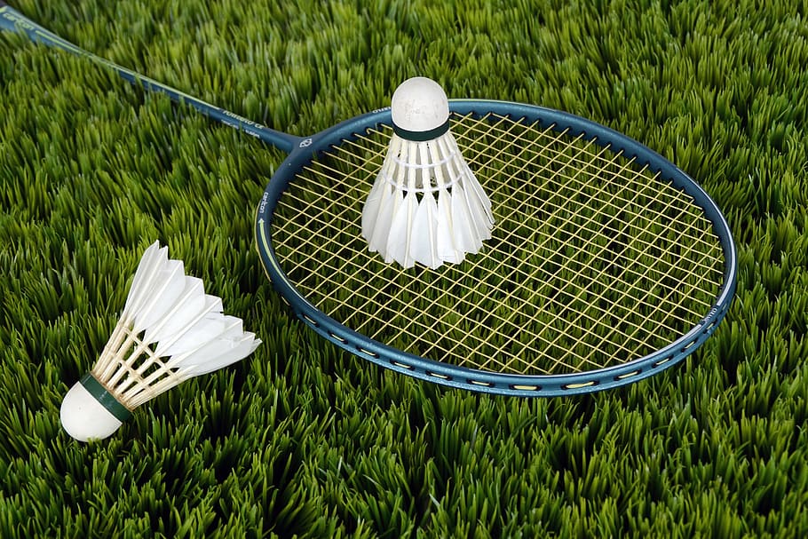 blue badminton racket and white shuttle cocks, sport, bat, leisure, HD wallpaper
