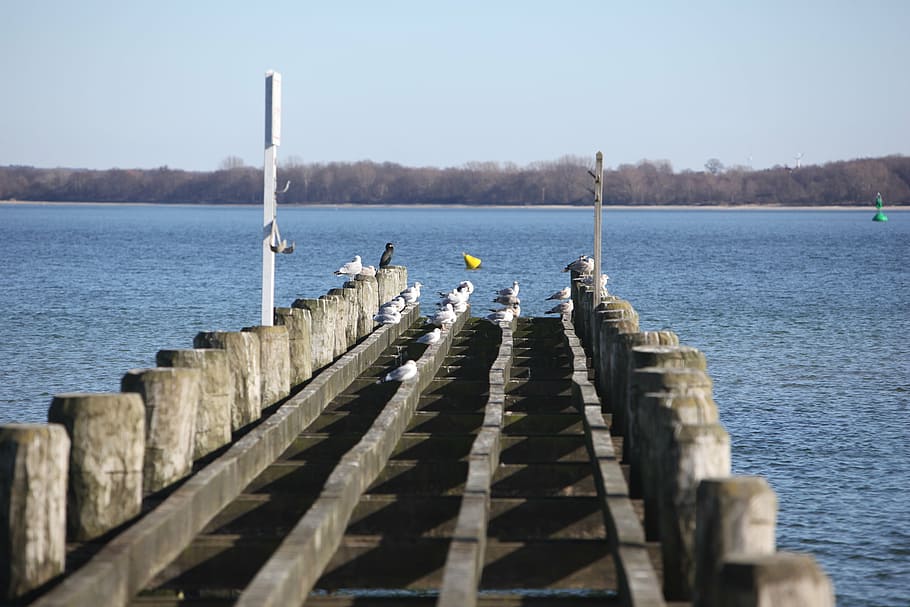 web, lake, water, bridge, sea, nature, pier, sky, day, wood - material HD wallpaper