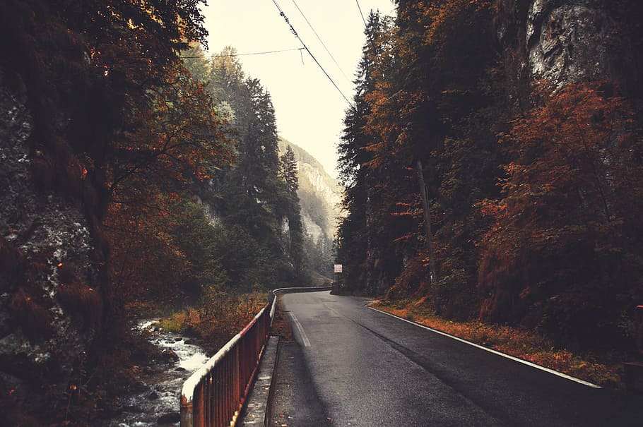 empty black concrete road top between trees under cloudy sky during daytime, concrete road surrounded by trees HD wallpaper