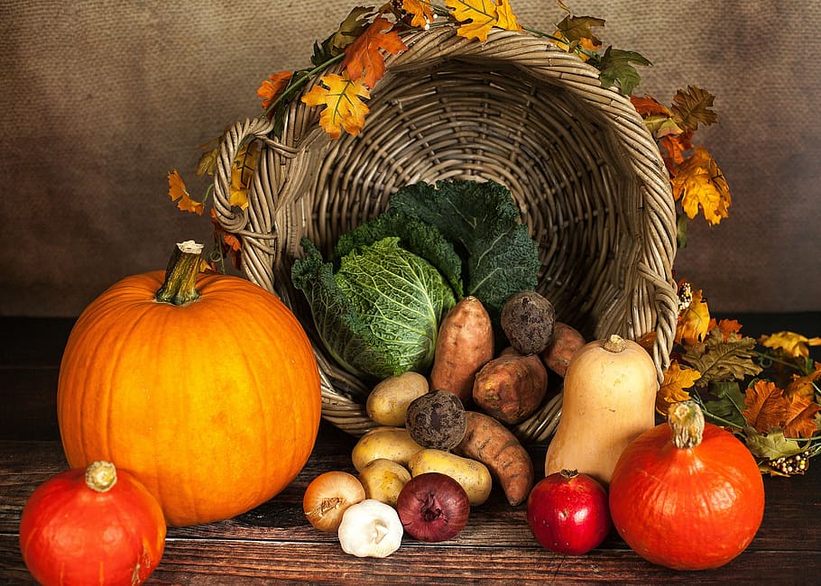 variety of vegetables, pumpkin, autumn, october, basket, savoy, HD wallpaper